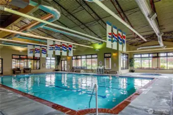 Indoor saline swimming pool and Jacuzzi