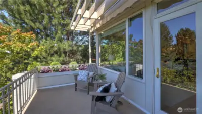 A view deck with a retractable awning, perfect for morning coffee, evening wine, or al fresco dinners under tree-filtered skies.