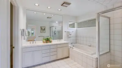 Primary spa-inspired bathroom.