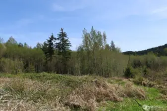 Westerly views from some of the elevate homesites