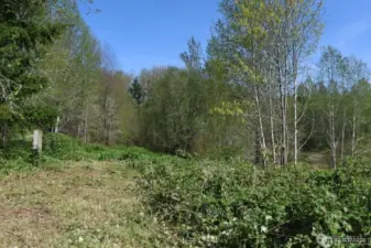 Old meter base and location of former RV site