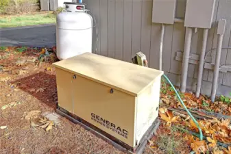 Automatic Propane Generator Keeps You Comfortable Always~