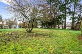 There's plenty of space to spread out and have some backyard fun!