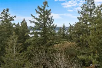 Approximate view from the 2nd story of a home without clearing. Would not take much clearing to open up dramatic lake views.