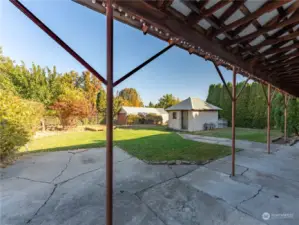 view into the backyard