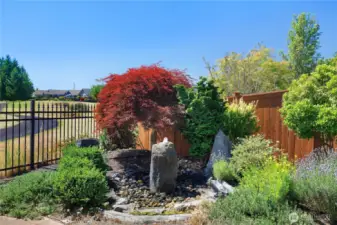 Calm water feature
