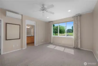 Stunning large primary bedroom with ductless air and a territorial view.