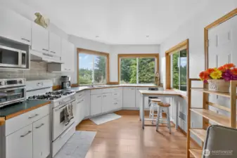 Downstairs Kitchen