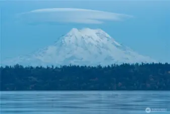 What a treat to have this view on your walk throughout this neighborhood!