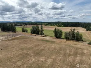 Pasture-Hay Fields