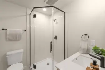 Lower level bath complete with a showershower perfect for privacy