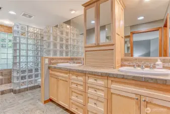 Lower level primary bathroom