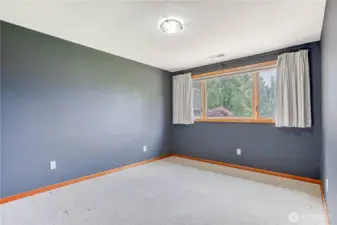 Lower level bedroom 2