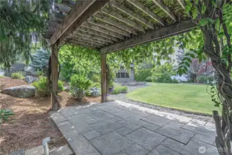 Pergola with grapes