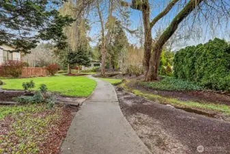 South side of the home boarders a community trail, greenbelt and creek for a very private natural setting.