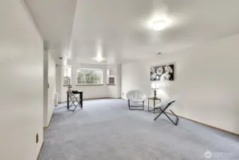 Extra large rec room