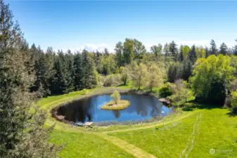 Check out this pond! Plenty of opportunity here on this 40 acre parcel. Perfect just as a private retreat.....or maybe even a wedding venue??  Another great shot showcasing this amazing and private pond with EVERY tree hand planted by the owner. WOW!