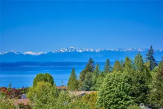 View from deck.