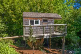 Tree House south of the garage on this .75 acre property