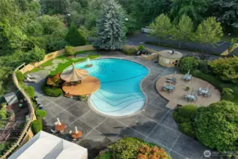 Beautiful pool to enjoy with family and friends