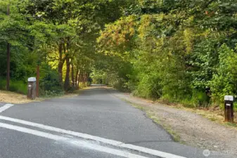 Driveway to property crosses the Burke-Gilman Trail so you can hop on your bike or take a walk on a beautiful trail. Trail goes all the way to University Village, Ballard and Woodinville.