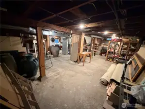 Expansive ground-level walk in Basement with access to backyard.