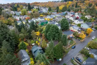 A hidden Nature Sanctuary within the bustle of the city,tucked on a quiet cul de sac.