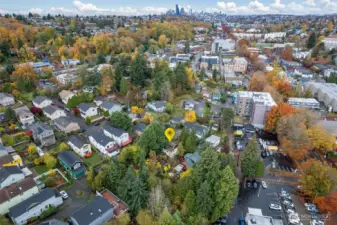An Oasis of Green! Imagine having your own tiny 1/4 acre Arboreutum or mini-Kubota Garden!