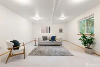 Massive rec room downstairs