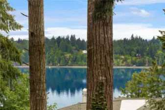 Enjoy Eld Inlet views and saltwater breezes from the deck and main floor of the home. A wonderful area to enjoy eagles and the occasional orca sighting!