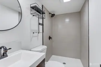 Basement Bathroom