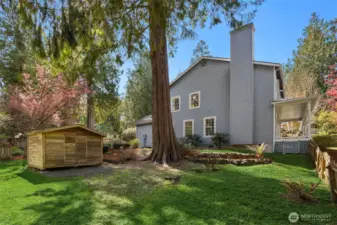 Expansive yard
