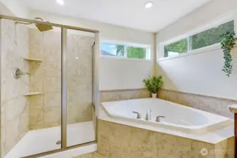 Primary en-suite with large walk-in closet.