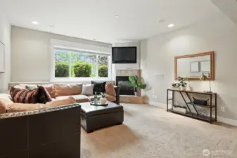 Bonus room in basement
