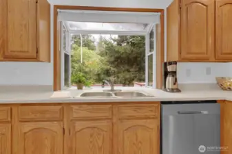 Who doesn't love a deep garden window at the kitchen sink