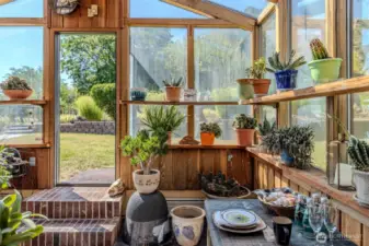Large greenhouse oasis