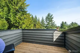 The private deck off the primary suite has open views that include the Capital Dome and Budd Inlet.  A new wood plank deck was just installed.