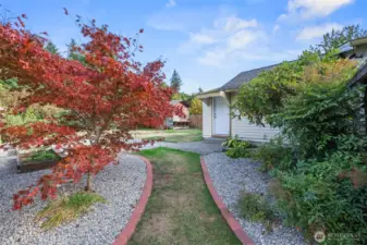 Entering from the front gate you'll be welcomed by this gorgeous Japanese maple and pink rhodie (when blooming) along this brick-lined path to the backyard!  Laundry room door seen ahead.