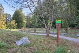 This is the trailhead across the street.  The paved Chehalis Western Trail is also not far away.