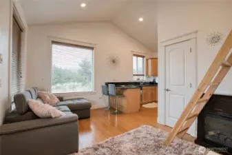 Main floor features a studio style great room with murphy bed, kitchen, and bathroom, with the ladder leading up to the loft.