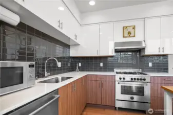 Sleek and Modern   Kitchen