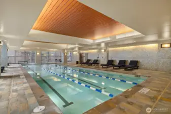 Swimming pool 1