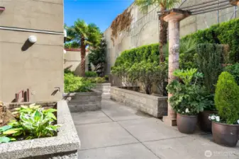 A quiet welcome home: this courtyard blends natural beauty with everyday calm.