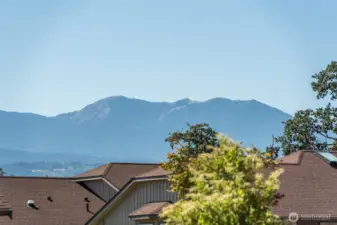 Peek-a-boo Olympic Mt View