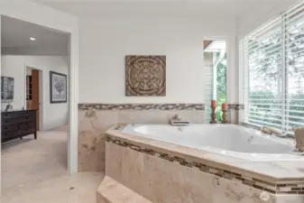 Step up into this luxurious spa-like primary bath, soaking tub with jets and birds eye backyard views