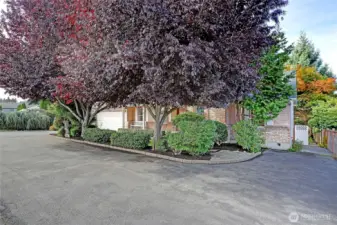 Paved Side Parking to Gated Yard~