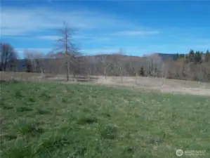 Pasture behind building site.