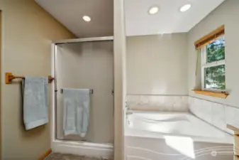 5 piece primary bathroom with soaking tub & walk-in shower.