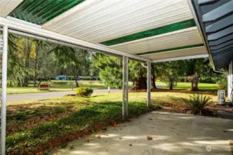 Covered back patio