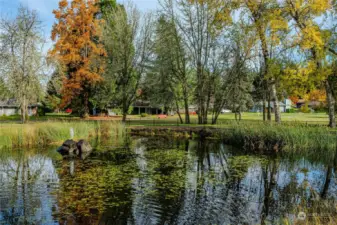 Pond with fountain. You can see and hear this from your back patio